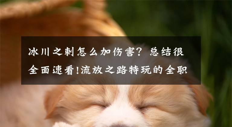 冰川之刺怎么加伤害？总结很全面速看!流放之路特玩的全职业开荒路 圣宗冰川之刺图腾BD推荐文章配图