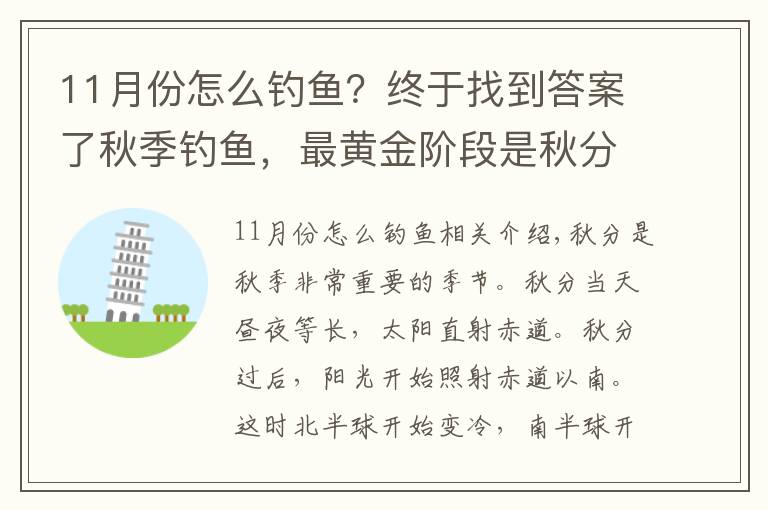 11月份怎么钓鱼？终于找到答案了秋季钓鱼，最黄金阶段是秋分前后，这些招数要常用，渔获猛增几倍