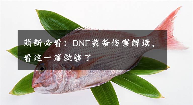 萌新必看：DNF装备伤害解读，看这一篇就够了文章配图