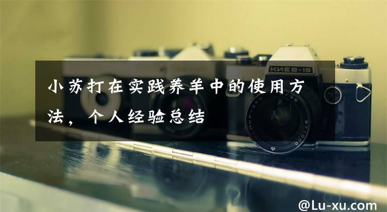 小苏打在实践养羊中的使用方法，个人经验总结文章配图