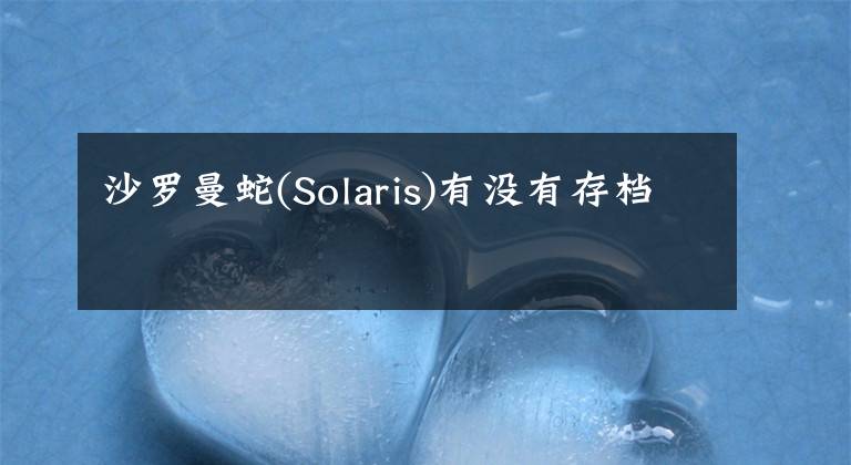 沙罗曼蛇(Solaris)有没有存档