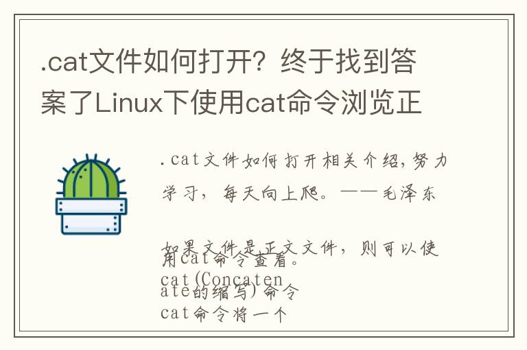 .cat文件如何打开？终于找到答案了Linux下使用cat命令浏览正文文件