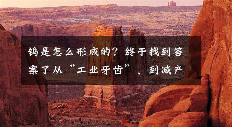 钨是怎么形成的？终于找到答案了从“工业牙齿”，到减产求生，这种小金属正经历怎样的冰与火？文章配图