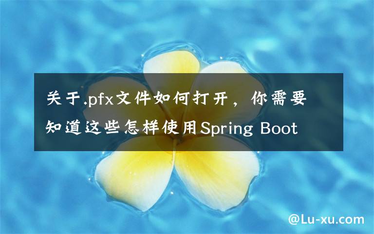 关于.pfx文件如何打开，你需要知道这些怎样使用Spring Boot 集成配置 HTTPS