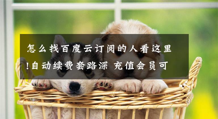 怎么找百度云订阅的人看这里!自动续费套路深 充值会员可能比你想的还要坑文章配图