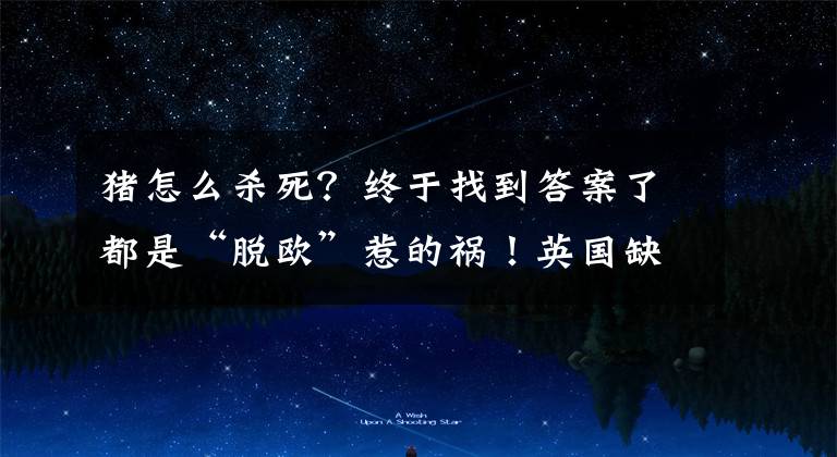 猪怎么杀死？终于找到答案了都是“脱欧”惹的祸！英国缺少屠夫，烧死10万只活猪，太残忍了文章配图