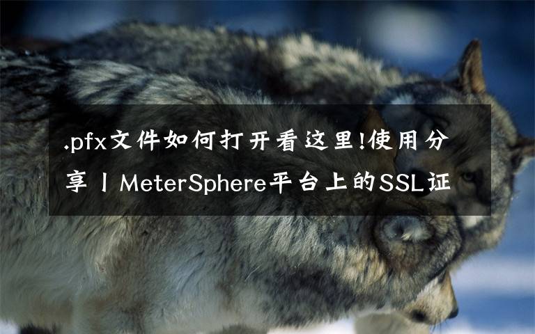 .pfx文件如何打开看这里!使用分享丨MeterSphere平台上的SSL证书配置