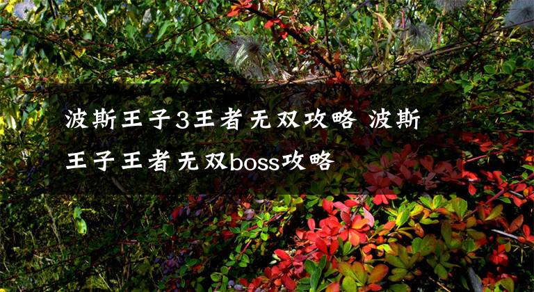 波斯王子3王者无双攻略 波斯王子王者无双boss攻略