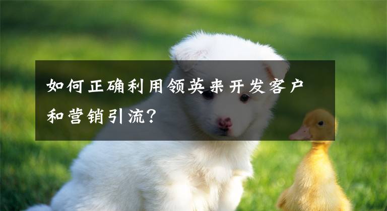 如何正确利用领英来开发客户和营销引流？文章配图
