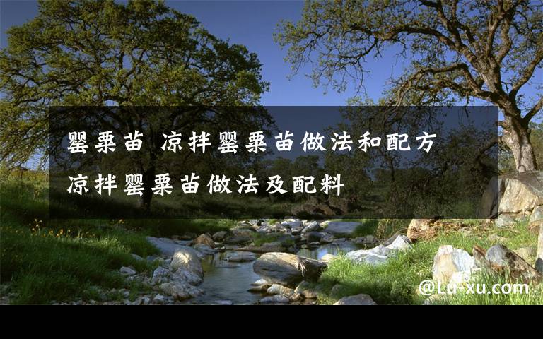 罂粟苗 凉拌罂粟苗做法和配方 凉拌罂粟苗做法及配料文章配图