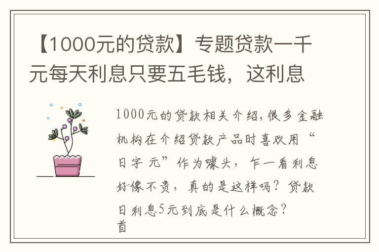 【1000元的贷款】专题贷款一千元每天利息只要五毛钱，这利息是高还是低？