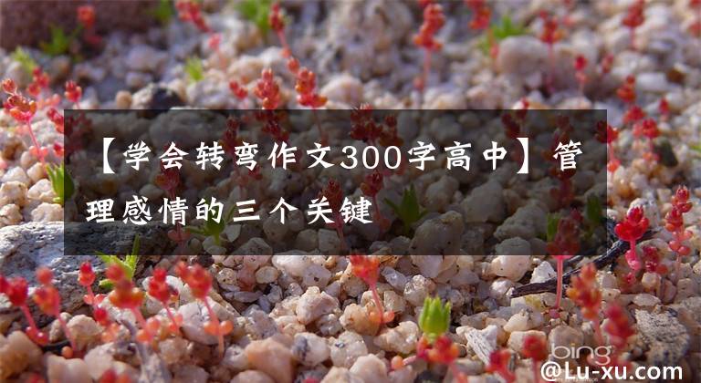 【学会转弯作文300字高中】管理感情的三个关键