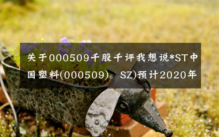 关于000509千股千评我想说*ST中国塑料(000509)。SZ)预计2020年归母净利润700万韩元至1000万韩元