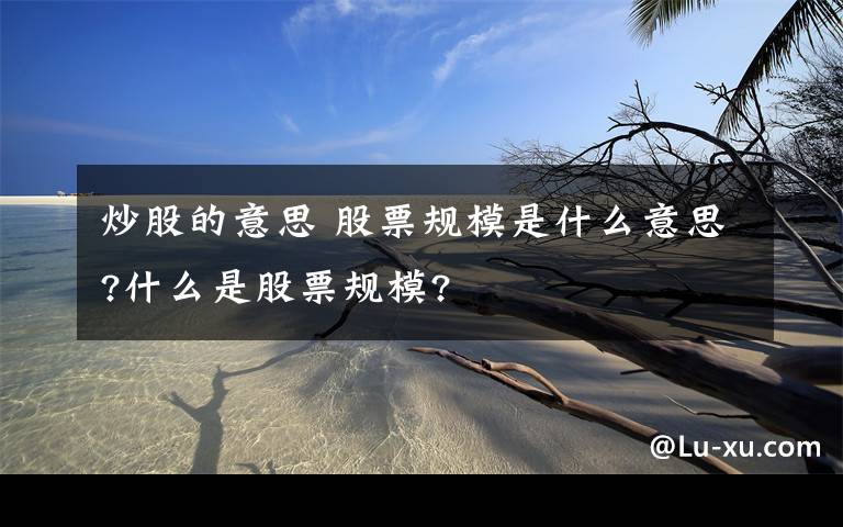 炒股的意思 股票规模是什么意思?什么是股票规模?文章配图