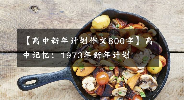 【高中新年计划作文800字】高中记忆：1973年新年计划