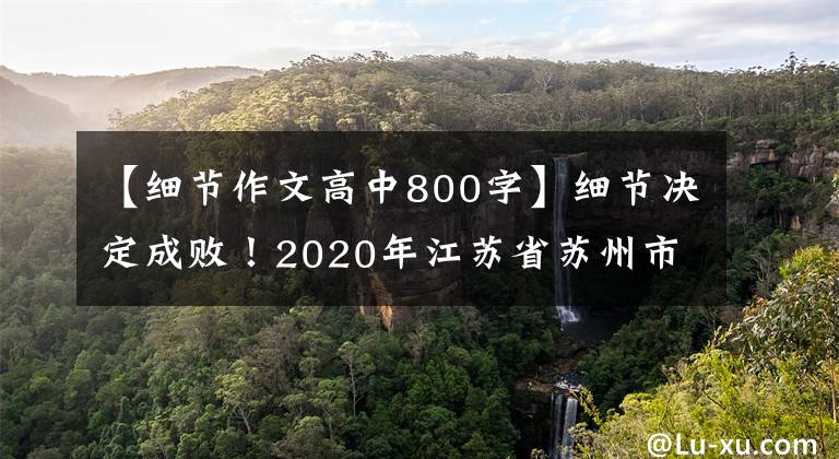 【细节作文高中800字】细节决定成败！2020年江苏省苏州市高考作文《那些灿烂的细节》