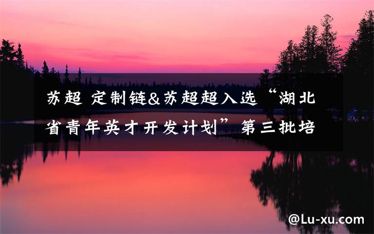 苏超 定制链&苏超超入选“湖北省青年英才开发计划”第三批培养人文章配图