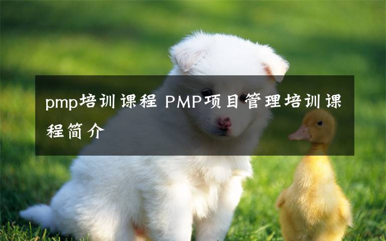 pmp培训课程 PMP项目管理培训课程简介文章配图