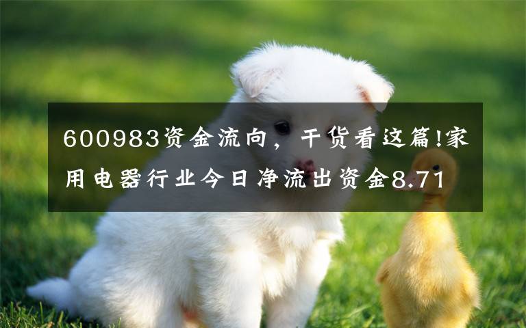 600983资金流向，干货看这篇!家用电器行业今日净流出资金8.71亿元，9股净流出资金超千万元