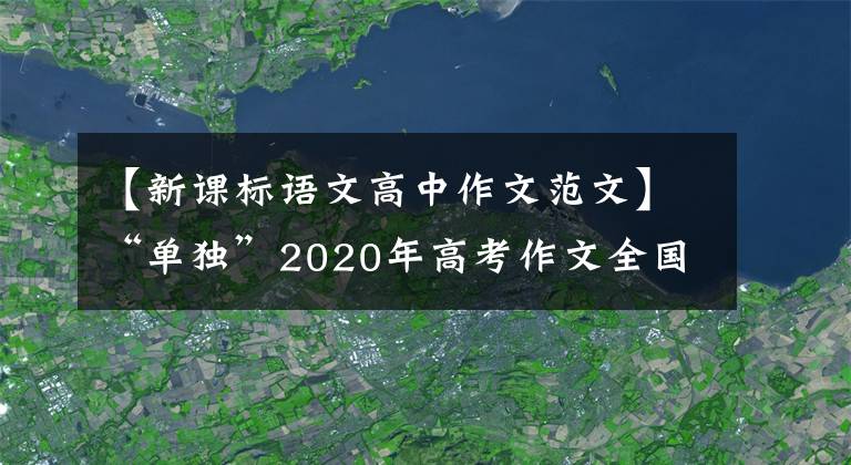 【新课标语文高中作文范文】“单独”2020年高考作文全国I卷深度分析及范文(2)