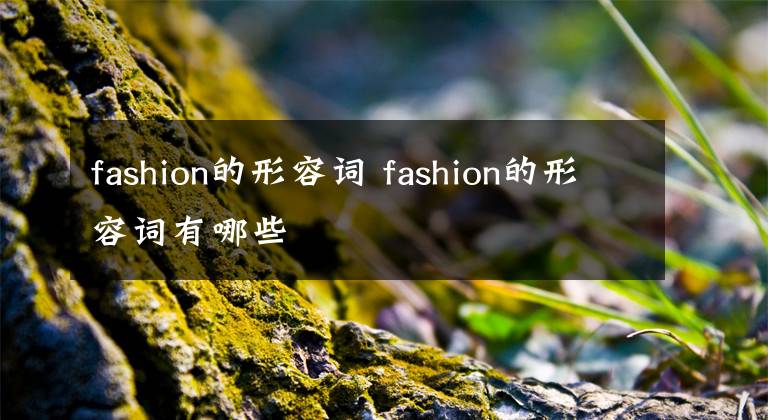 fashion的形容词 fashion的形容词有哪些