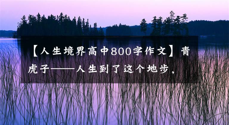 【人生境界高中800字作文】青虎子——人生到了这个地步，应该好好领悟一下