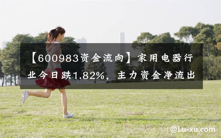 【600983资金流向】家用电器行业今日跌1.82%，主力资金净流出4.01亿元