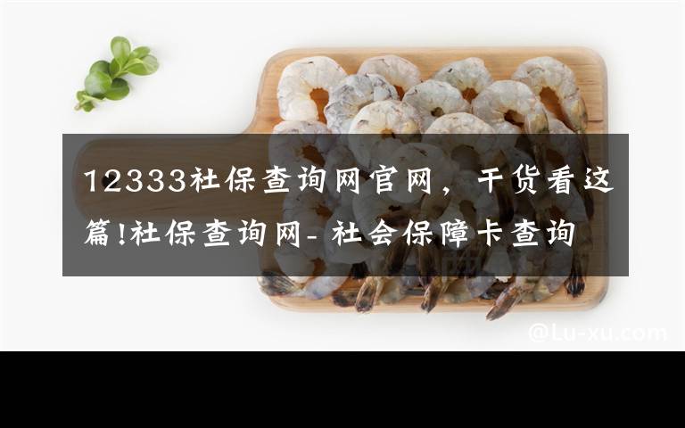 12333社保查询网官网，干货看这篇!社保查询网- 社会保障卡查询，社会保险查询，社保网上查询文章配图
