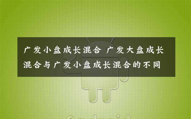 广发小盘成长混合 广发大盘成长混合与广发小盘成长混合的不同文章配图