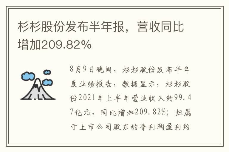 杉杉股份发布半年报，营收同比增加209.82%