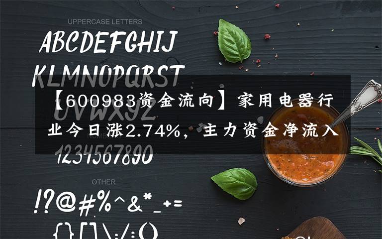 【600983资金流向】家用电器行业今日涨2.74%，主力资金净流入7.43亿元