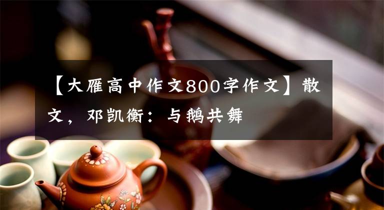 【大雁高中作文800字作文】散文，邓凯衡：与鹅共舞