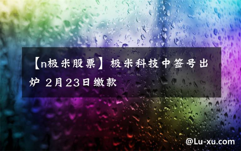 【n极米股票】极米科技中签号出炉 2月23日缴款