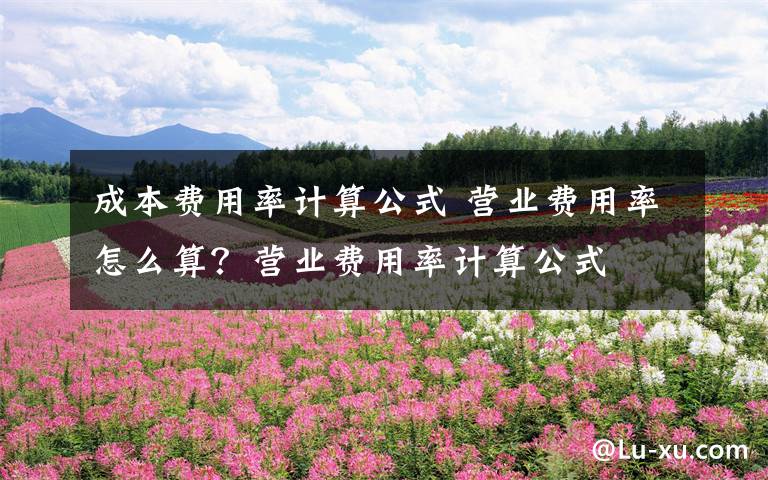 成本费用率计算公式 营业费用率怎么算？营业费用率计算公式文章配图