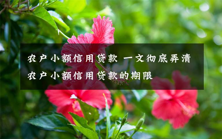 农户小额信用贷款 一文彻底弄清农户小额信用贷款的期限文章配图