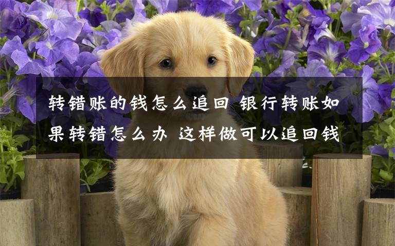 转错账的钱怎么追回 银行转账如果转错怎么办 这样做可以追回钱文章配图