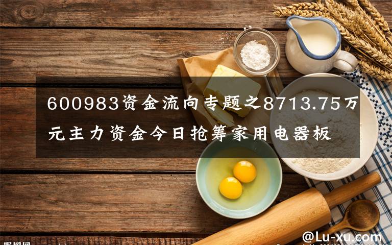 600983资金流向专题之8713.75万元主力资金今日抢筹家用电器板块