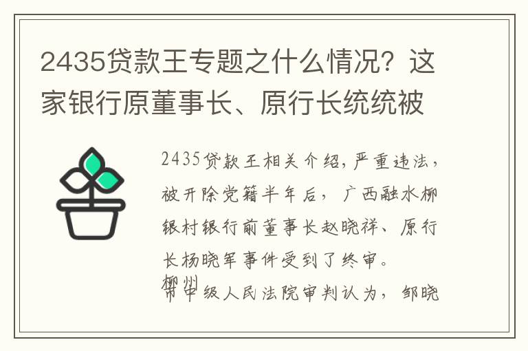 2435贷款王专题之什么情况？这家银行原董事长、原行长统统被送上法庭，大股东两任掌舵人落马 #热点复盘#