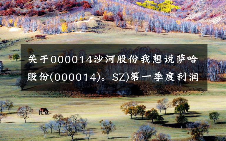 关于000014沙河股份我想说萨哈股份(000014)。SZ)第一季度利润中归于矛盾损失的943.31万韩元
