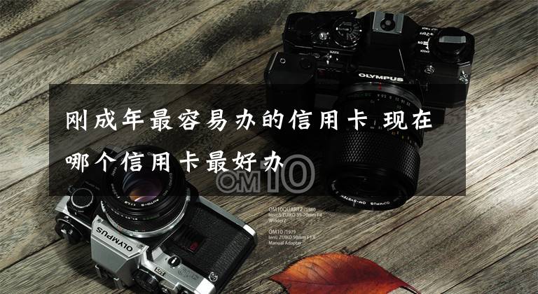 刚成年最容易办的信用卡 现在哪个信用卡最好办文章配图