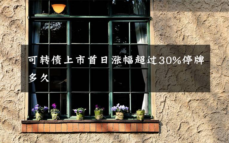 可转债上市首日涨幅超过30%停牌多久