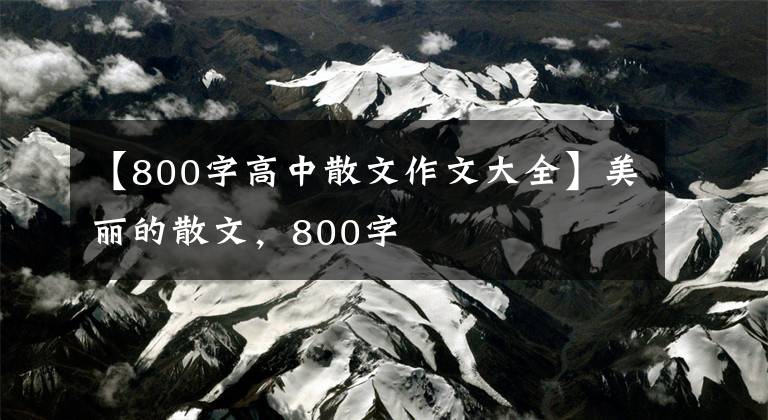 【800字高中散文作文大全】美丽的散文，800字