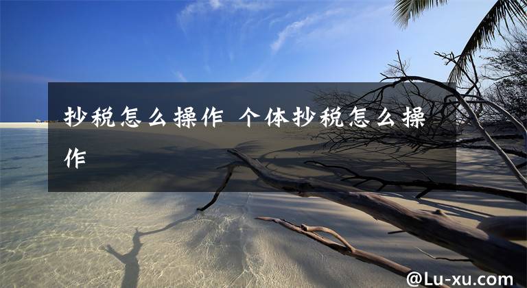 抄税怎么操作 个体抄税怎么操作文章配图