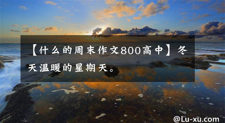 【什么的周末作文800高中】冬天温暖的星期天。