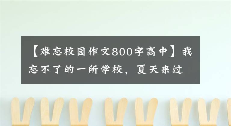 【难忘校园作文800字高中】我忘不了的一所学校，夏天来过这里，冬天又来了