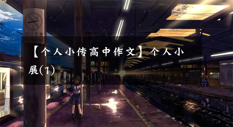 【个人小传高中作文】个人小展(1)文章配图