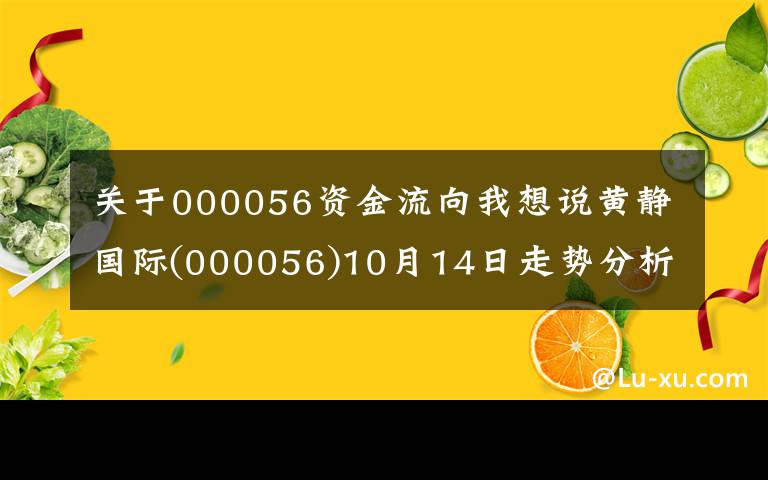 关于000056资金流向我想说黄静国际(000056)10月14日走势分析