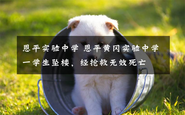 恩平实验中学 恩平黄冈实验中学一学生坠楼，经抢救无效死亡文章配图