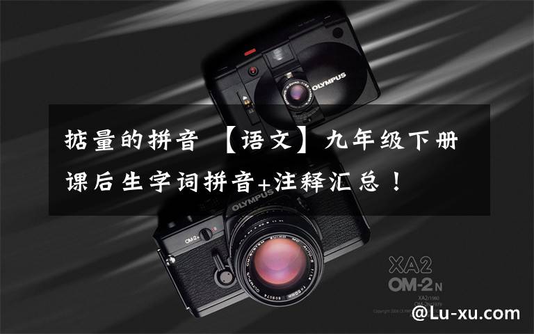 掂量的拼音 【语文】九年级下册课后生字词拼音+注释汇总！文章配图