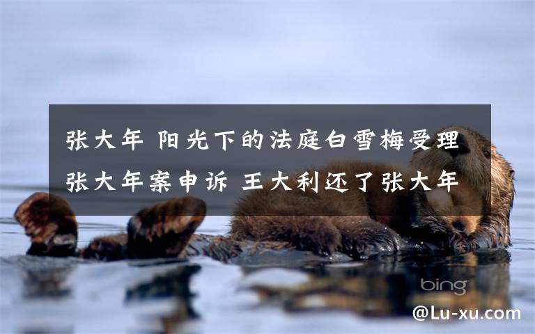 张大年 阳光下的法庭白雪梅受理张大年案申诉 王大利还了张大年的清白文章配图